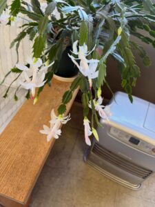 癒されてます 2025.12.09　保温・保冷・断熱材、遮音・吸音・消音材料、気密・換気材料販売　株式会社酒井商会